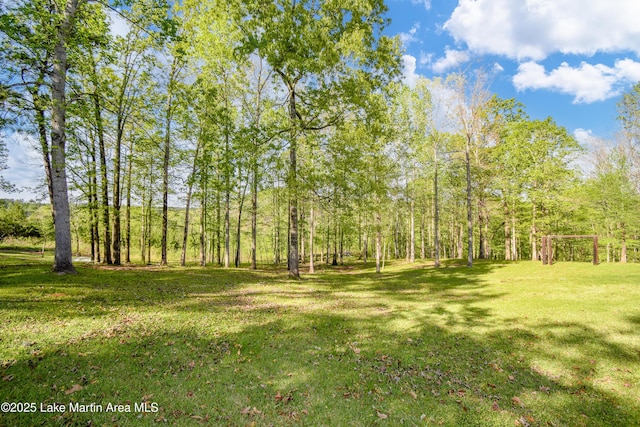1647 Timber Trl, Alexander City, AL 35010 - view of yard