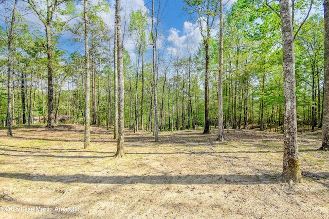 1647 Timber Trl, Alexander City, AL 35010 - view of nature with a view of trees