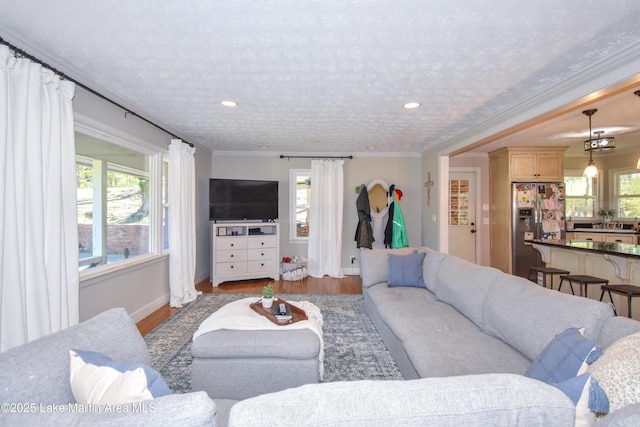 241 Warrior Rd, Alexander City, AL 35010 - living room featuring plenty of natural light, ornamental molding, a textured ceiling, and wood finished floors