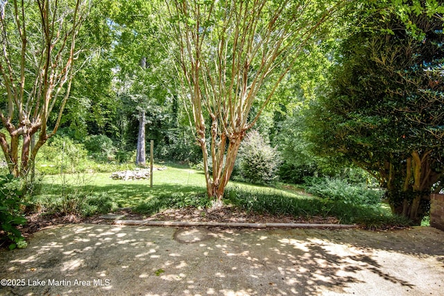 2106 Dobbs Rd, Alexander City, AL 35010 - photo 13