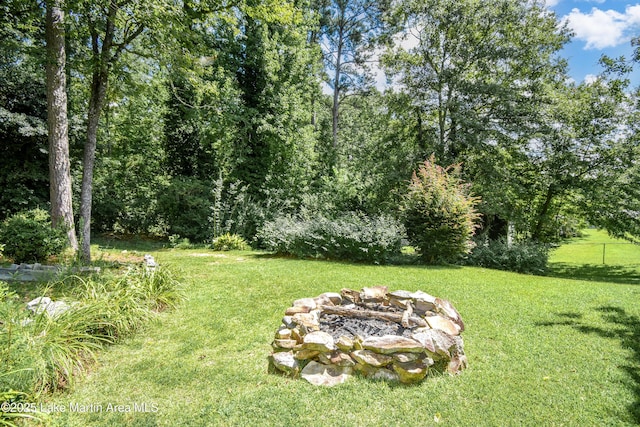 2106 Dobbs Rd, Alexander City, AL 35010 - photo 8