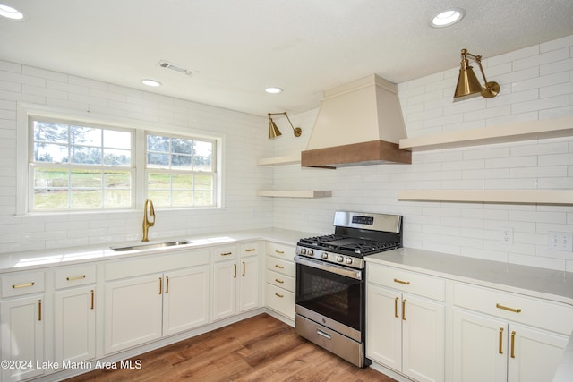 kitchen with white cabinetry, stainless steel gas stove, premium range hood, decorative backsplash, and sink