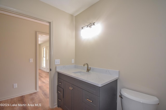 bathroom featuring vanity, toilet, and hardwood / wood-style floors