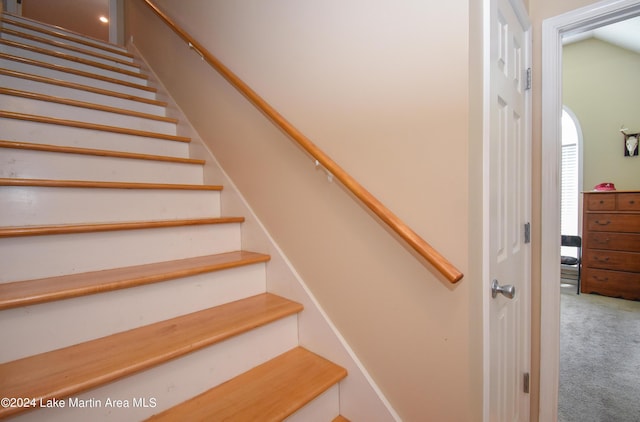 staircase with carpet