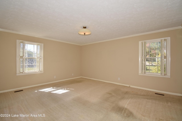 spare room featuring carpet, plenty of natural light, and a textured ceiling