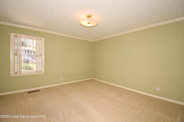 empty room with crown molding, carpet floors, and a textured ceiling