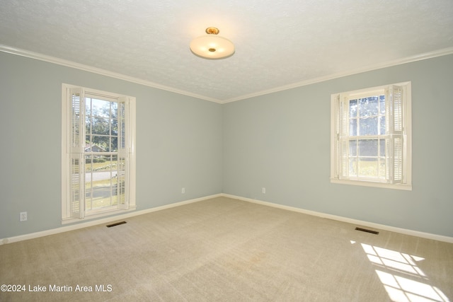 empty room with carpet flooring, a textured ceiling, and crown molding