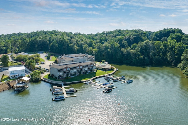 property view of water