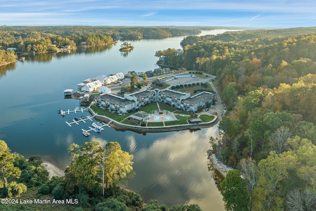 aerial view with a water view