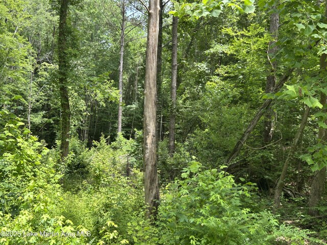 3/-AC Driftwood Dr, Jacksons Gap, AL 36861 - photo 15