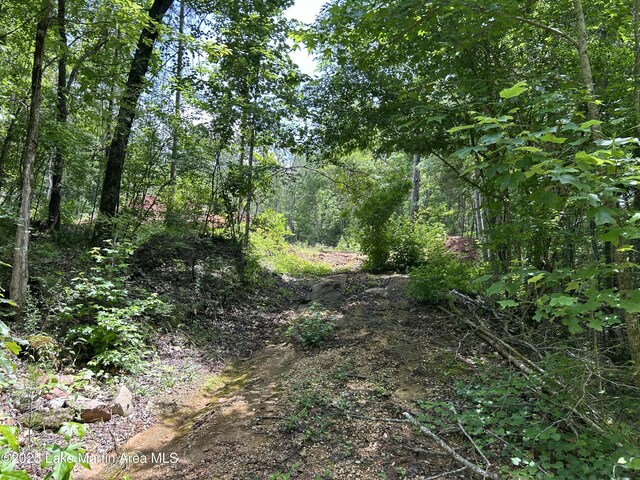3/-AC Driftwood Dr, Jacksons Gap, AL 36861 - photo 8