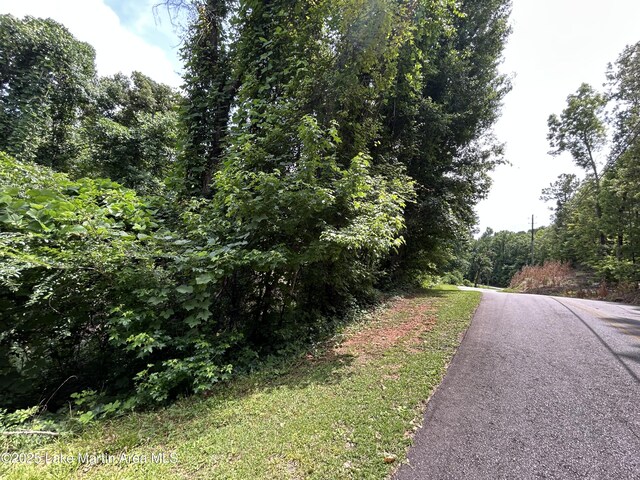 3/-AC Driftwood Dr, Jacksons Gap, AL 36861 - photo 4