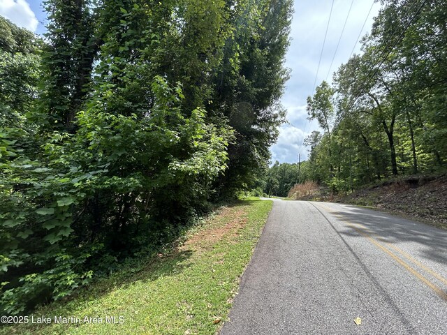 3/-AC Driftwood Dr, Jacksons Gap, AL 36861 - photo 3