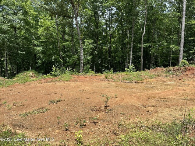 3/-AC Driftwood Dr, Jacksons Gap, AL 36861 - photo 12