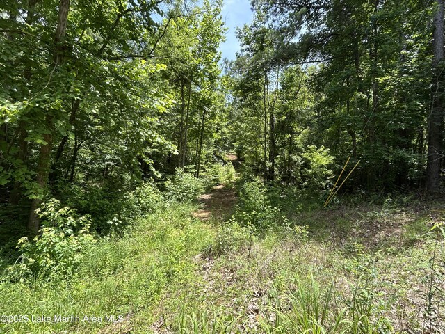 3/-AC Driftwood Dr, Jacksons Gap, AL 36861 - photo 7