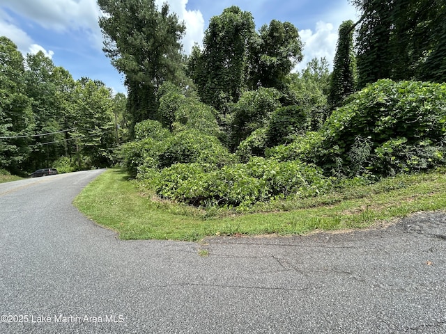3/-AC Driftwood Dr, Jacksons Gap, AL 36861 - photo 5