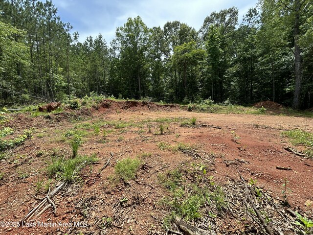 3/-AC Driftwood Dr, Jacksons Gap, AL 36861 - photo 13