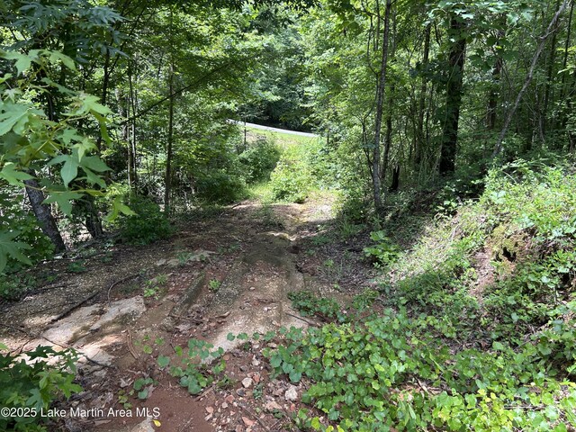 3/-AC Driftwood Dr, Jacksons Gap, AL 36861 - photo 10