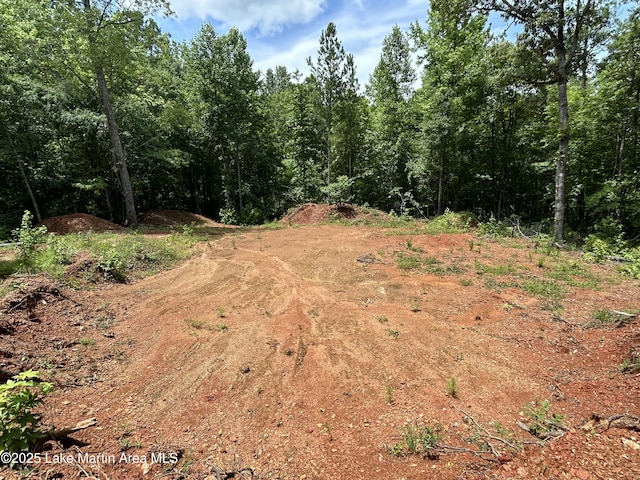3/-AC Driftwood Dr, Jacksons Gap, AL 36861 - photo 11