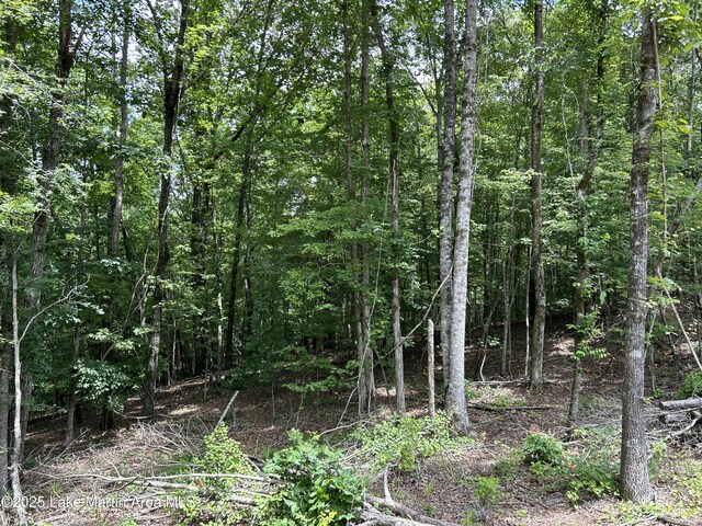 3/-AC Driftwood Dr, Jacksons Gap, AL 36861 - photo 14
