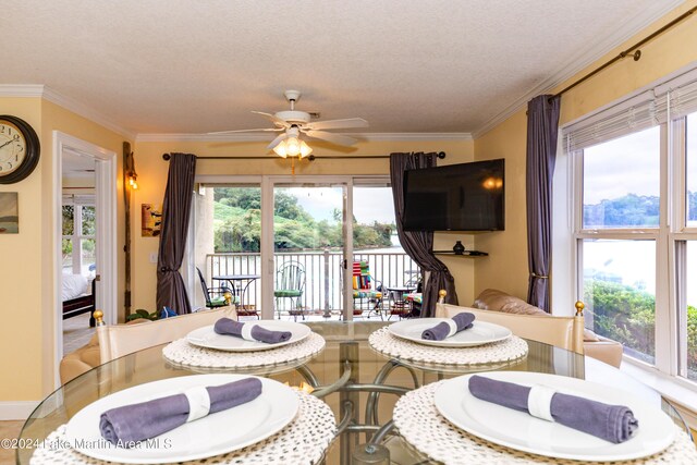 dining space featuring a textured ceiling, ceiling fan, and ornamental molding