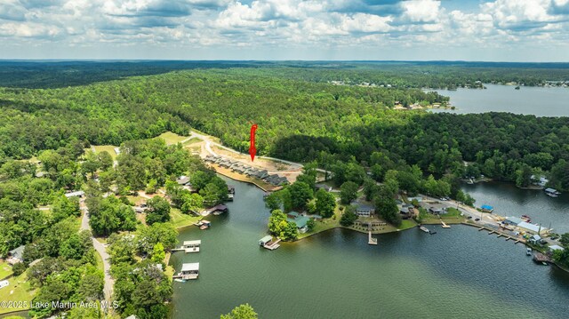 birds eye view of property with a water view and a forest view