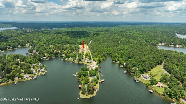 drone / aerial view with a water view and a view of trees