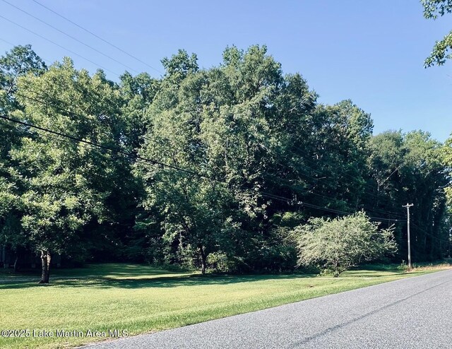 2240 Oldfield Rd, Sylacauga, AL 35151 - photo 15