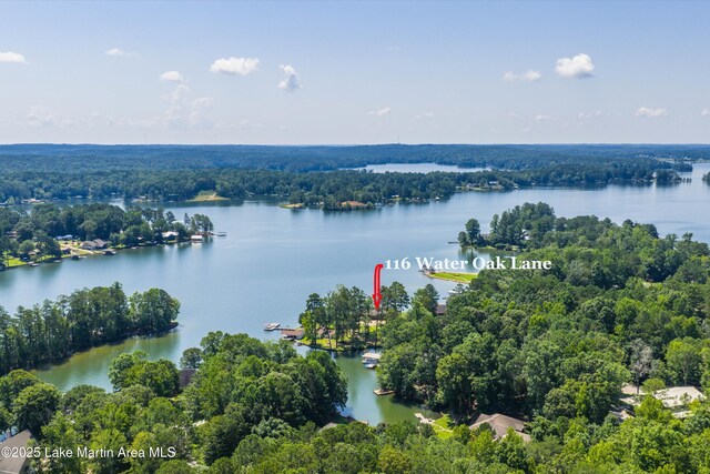 116 Water Oak Ln, Jacksons Gap, AL 36861 - bird's eye view of a nearby body of water