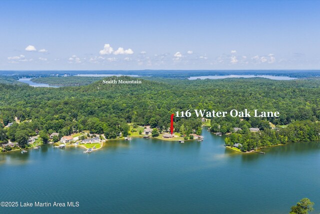 116 Water Oak Ln, Jacksons Gap, AL 36861 - bird's eye view of a heavily wooded area and a nearby body of water