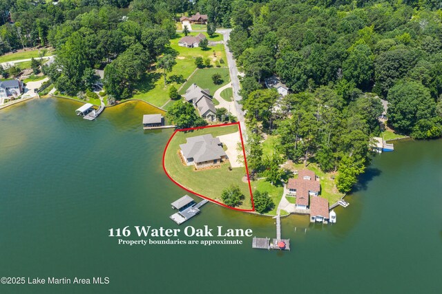 116 Water Oak Ln, Jacksons Gap, AL 36861 - aerial view of property's location featuring a large body of water and property boundaries highlighted