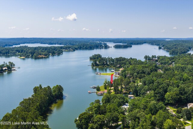 116 Water Oak Ln, Jacksons Gap, AL 36861 - drone / aerial view of a large body of water