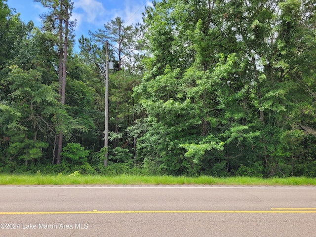 LOT12 Kowaliga Rd, Eclectic AL, 36024 land for sale