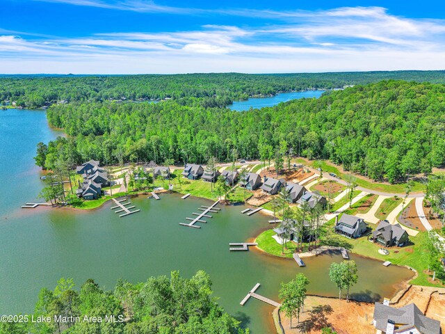 189 Magnolia Way, Dadeville, AL 36853 - aerial perspective of suburban area with a forest and a nearby body of water