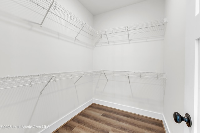 189 Magnolia Way, Dadeville, AL 36853 - walk in closet with wood finished floors