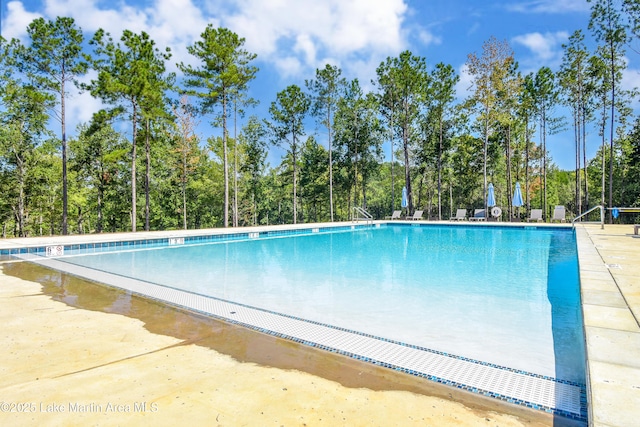 view of community pool