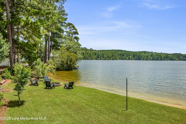 134 Last Dollar Ln, Jacksons Gap, AL 36861 - photo 50