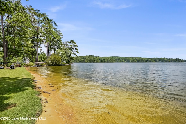 134 Last Dollar Ln, Jacksons Gap, AL 36861 - photo 51