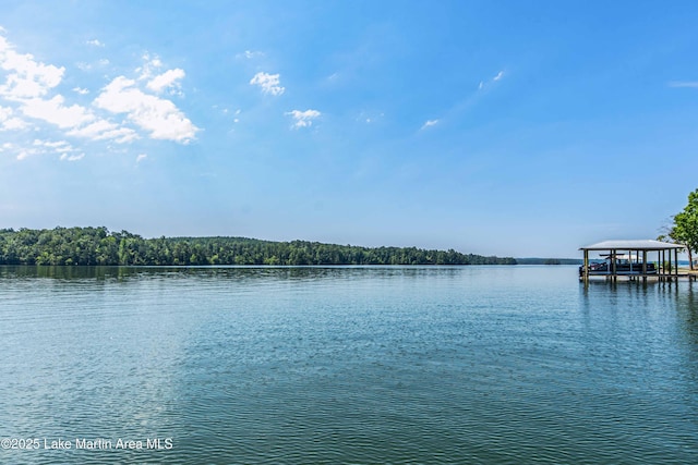 134 Last Dollar Ln, Jacksons Gap, AL 36861 - photo 67