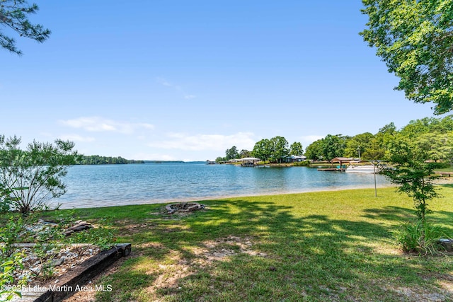 134 Last Dollar Ln, Jacksons Gap, AL 36861 - photo 68