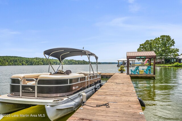134 Last Dollar Ln, Jacksons Gap, AL 36861 - photo 63