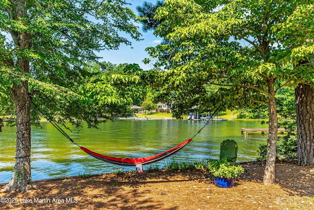 134 Last Dollar Ln, Jacksons Gap, AL 36861 - photo 69