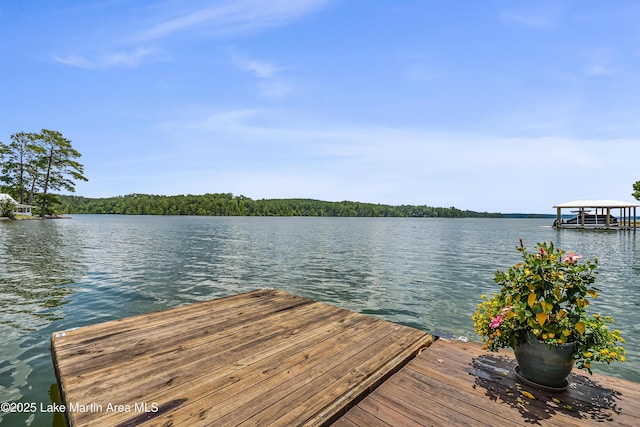 134 Last Dollar Ln, Jacksons Gap, AL 36861 - photo 66