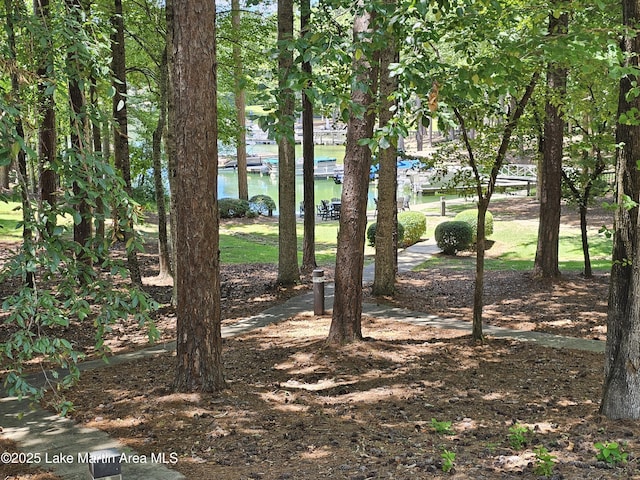 67 Lakeview Dr Unit 10H, Alexander City, AL 35010 - view of yard featuring a water view