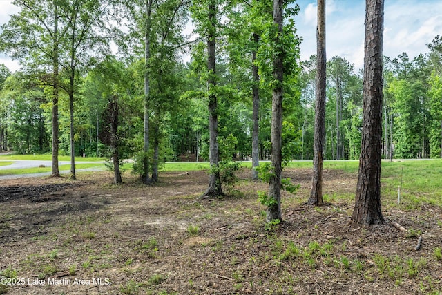 1728-31 Sturdivant Rd, Jacksons Gap, AL 36861