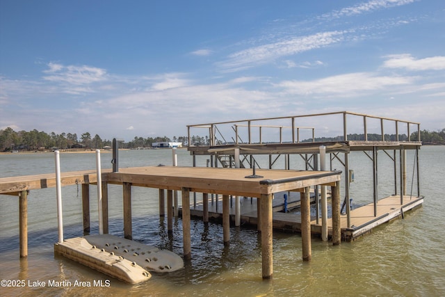 dock area with a water view