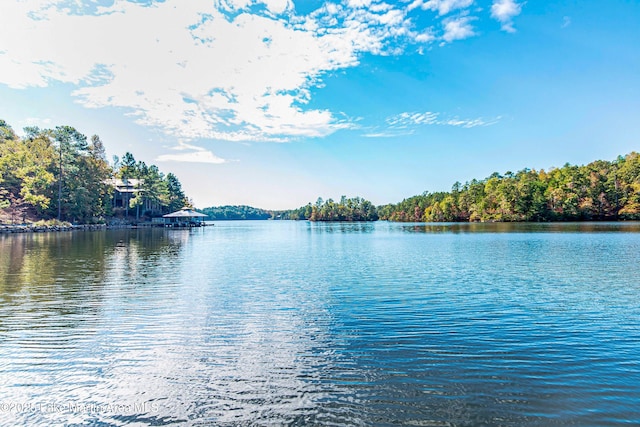 property view of water with a wooded view