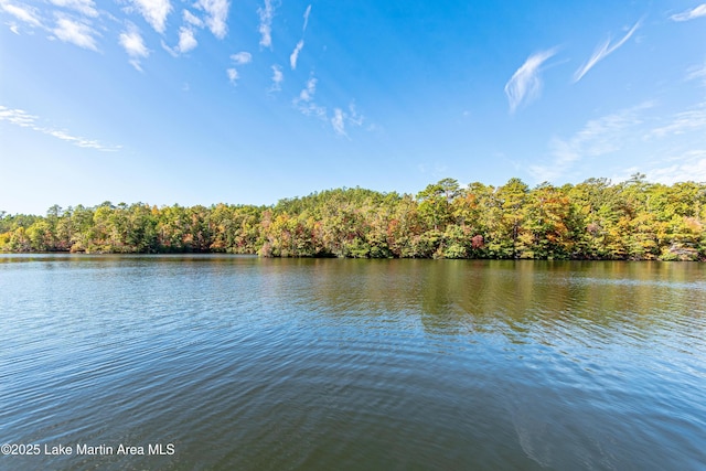 property view of water with a wooded view