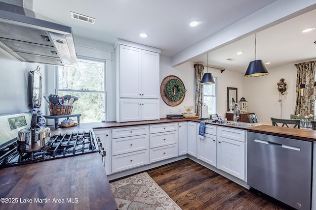 kitchen featuring wood counters, stainless steel dishwasher, a healthy amount of sunlight, and extractor fan