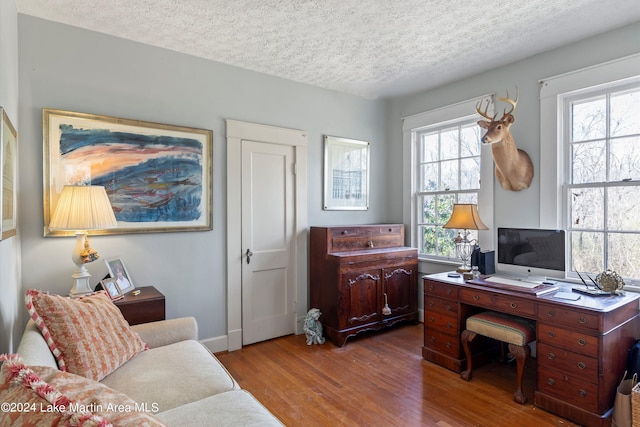 office with light hardwood / wood-style floors and a textured ceiling